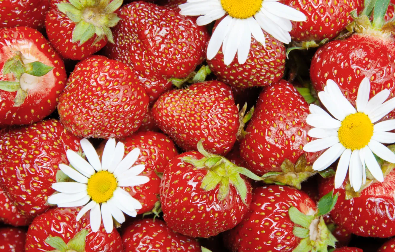 Photo wallpaper flowers, berries, strawberry, red, fresh, ripe, strawberry, berries
