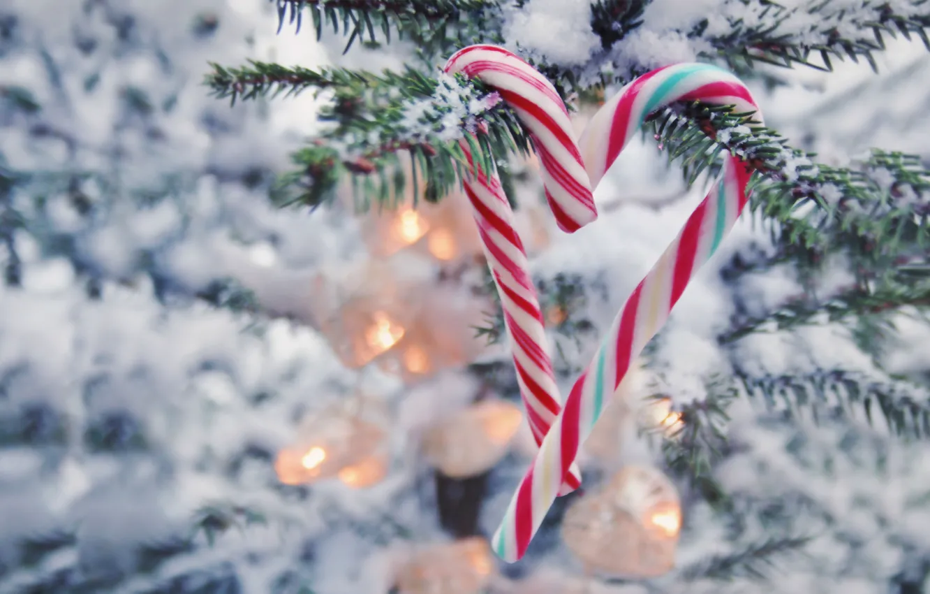 Photo wallpaper snow, lollipops, tree, garland