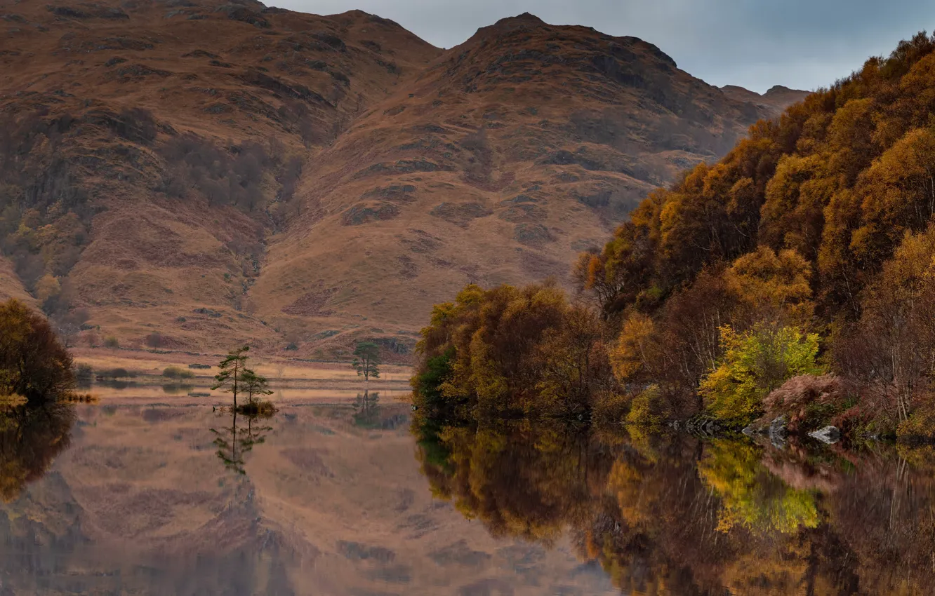 Photo wallpaper autumn, forest, mountains, lake, reflection, shore, slope, panorama