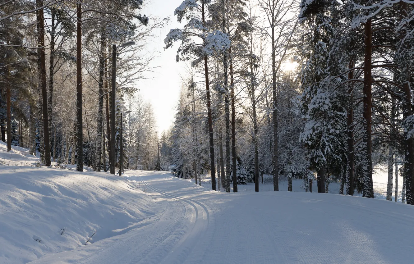 Photo wallpaper winter, road, forest, the sun, light, snow, branches, traces