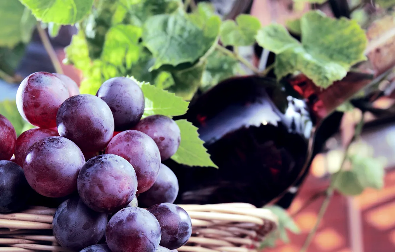 Photo wallpaper berries, wine, basket, bottle, grapes, bunch
