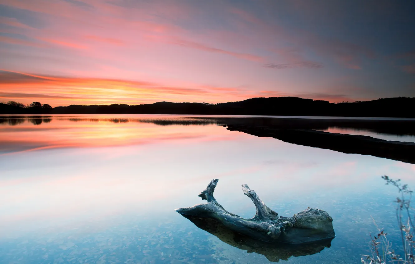 Photo wallpaper landscape, sunset, lake, log