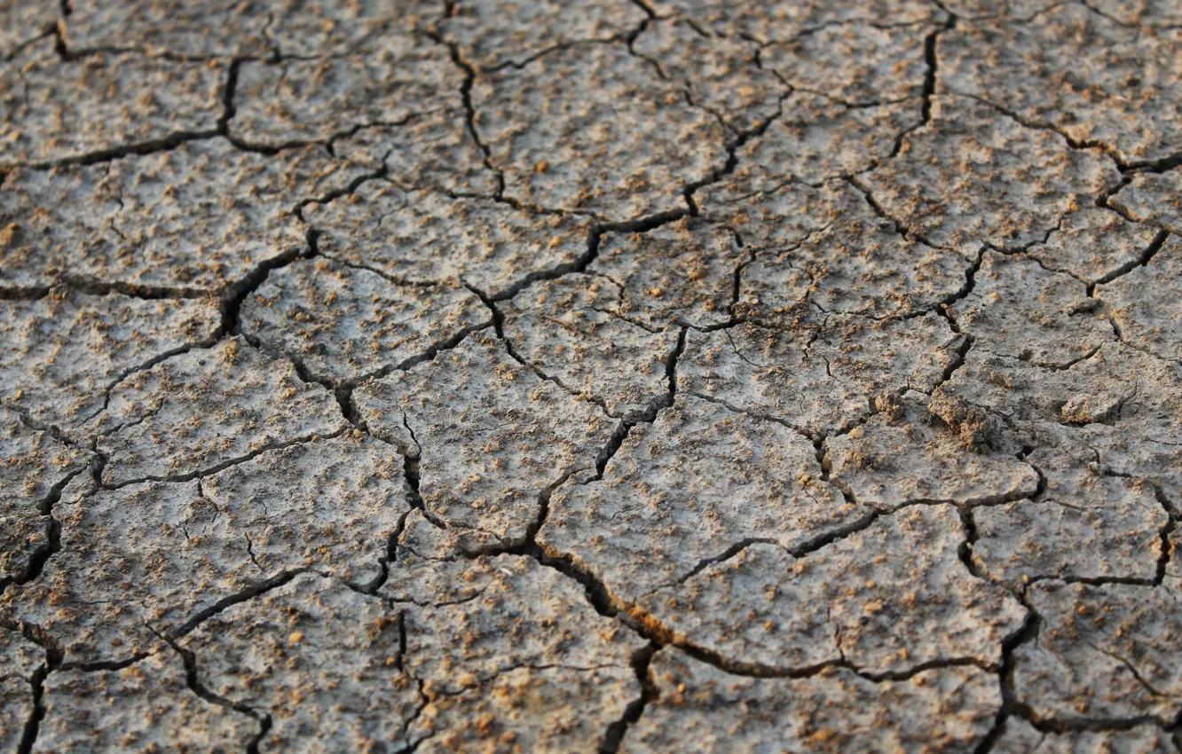 Photo wallpaper summer, earth, heat, drought, 2016