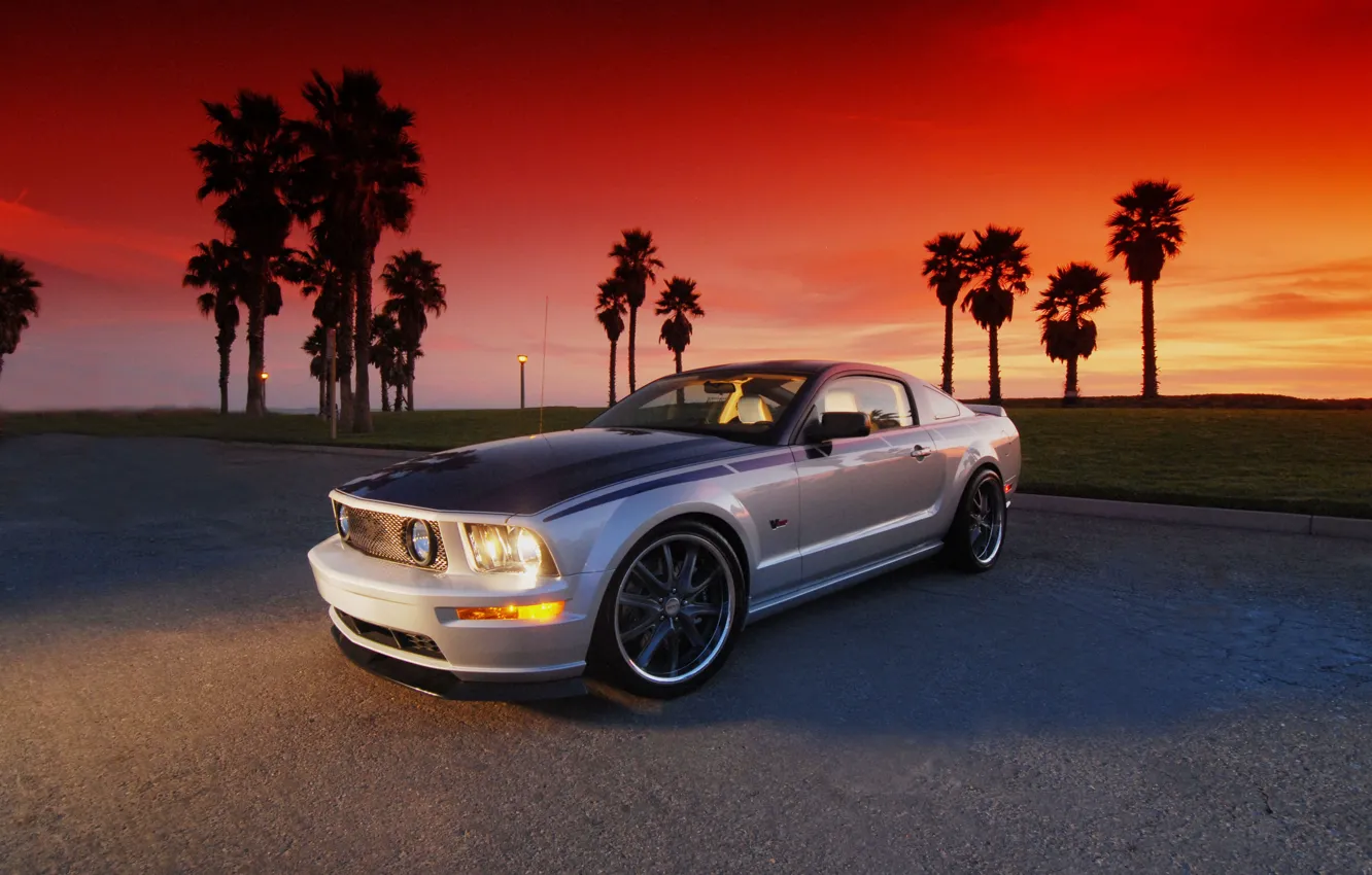 Photo wallpaper road, auto, the sun, palm trees, tuning, silver, Ford, Mustang