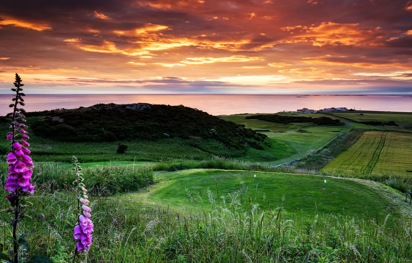 Photo wallpaper England, castle, golf club, Bamburgh
