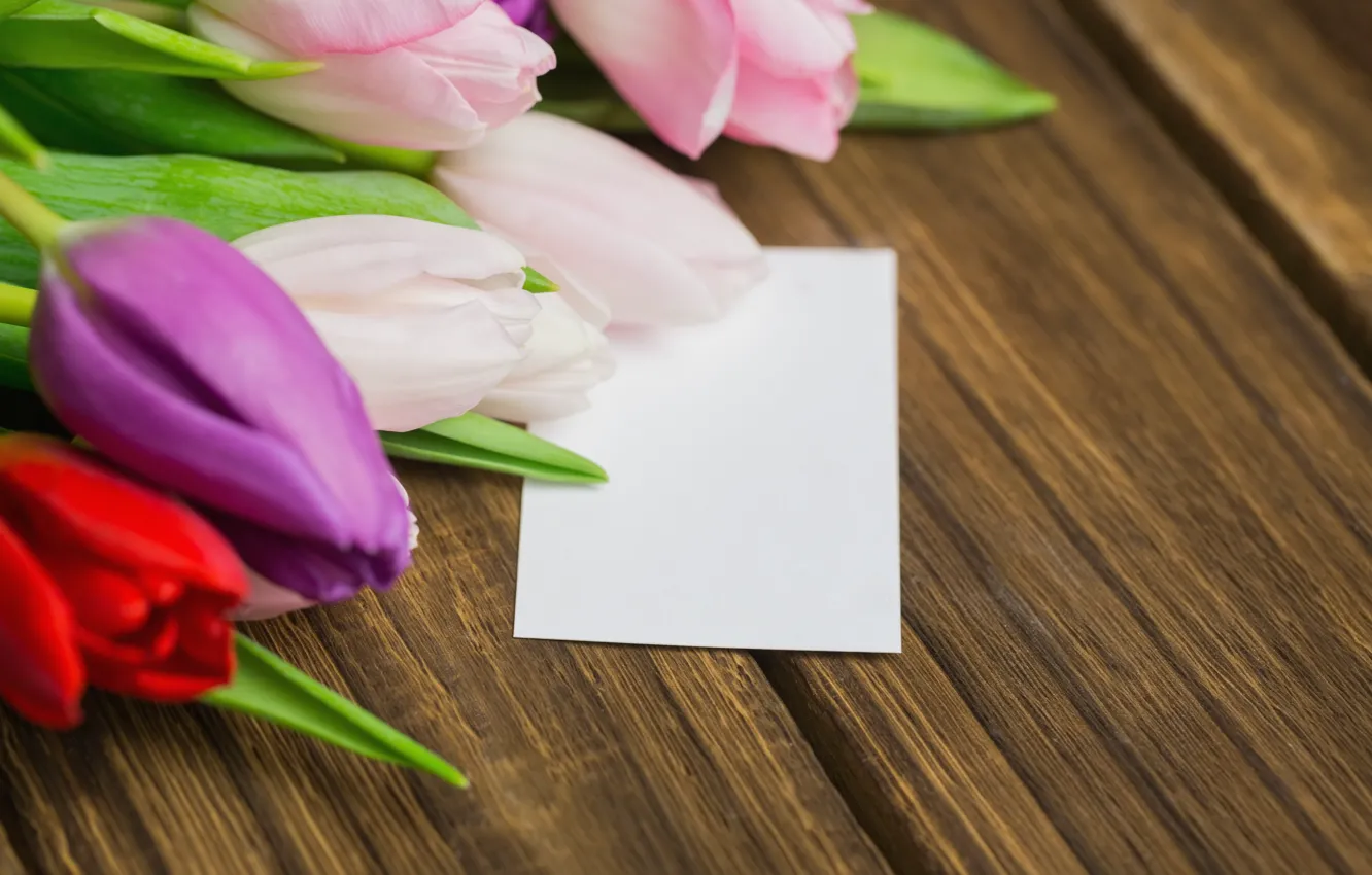 Photo wallpaper flowers, bouquet, colorful, tulips, red, white, wood, flowers