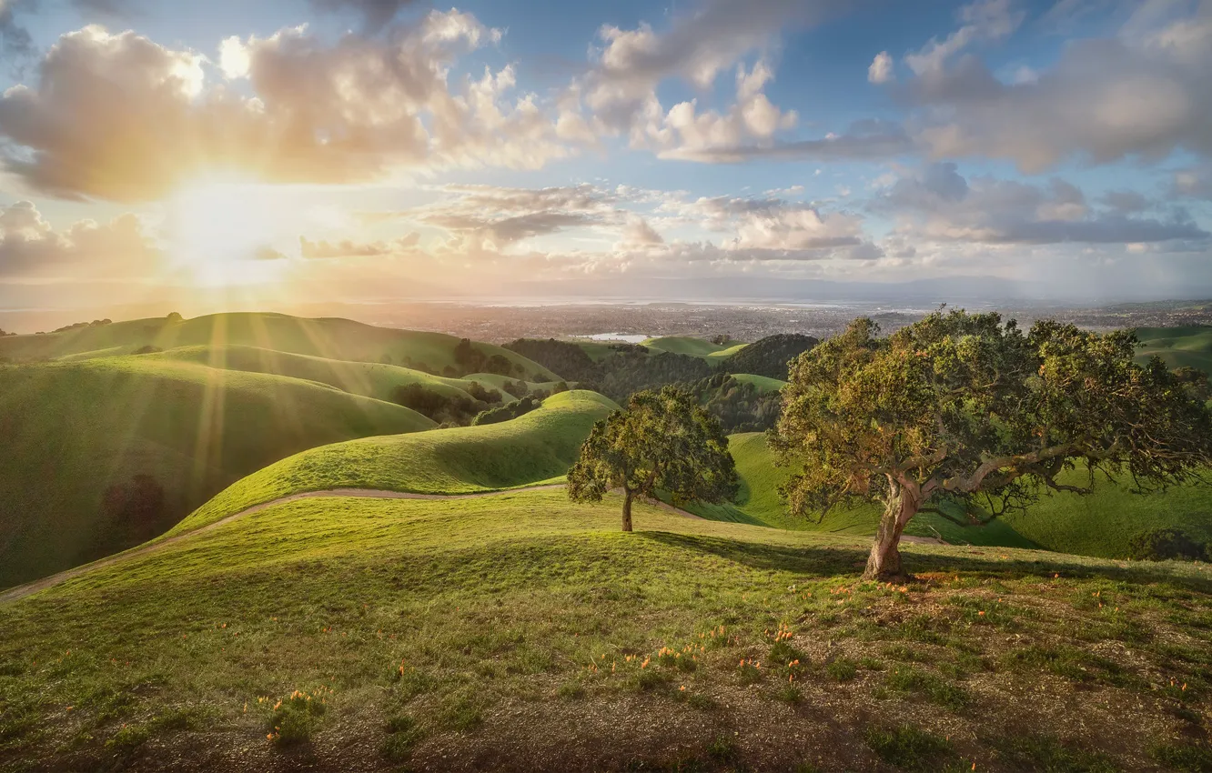 Photo wallpaper the sun, trees, hills