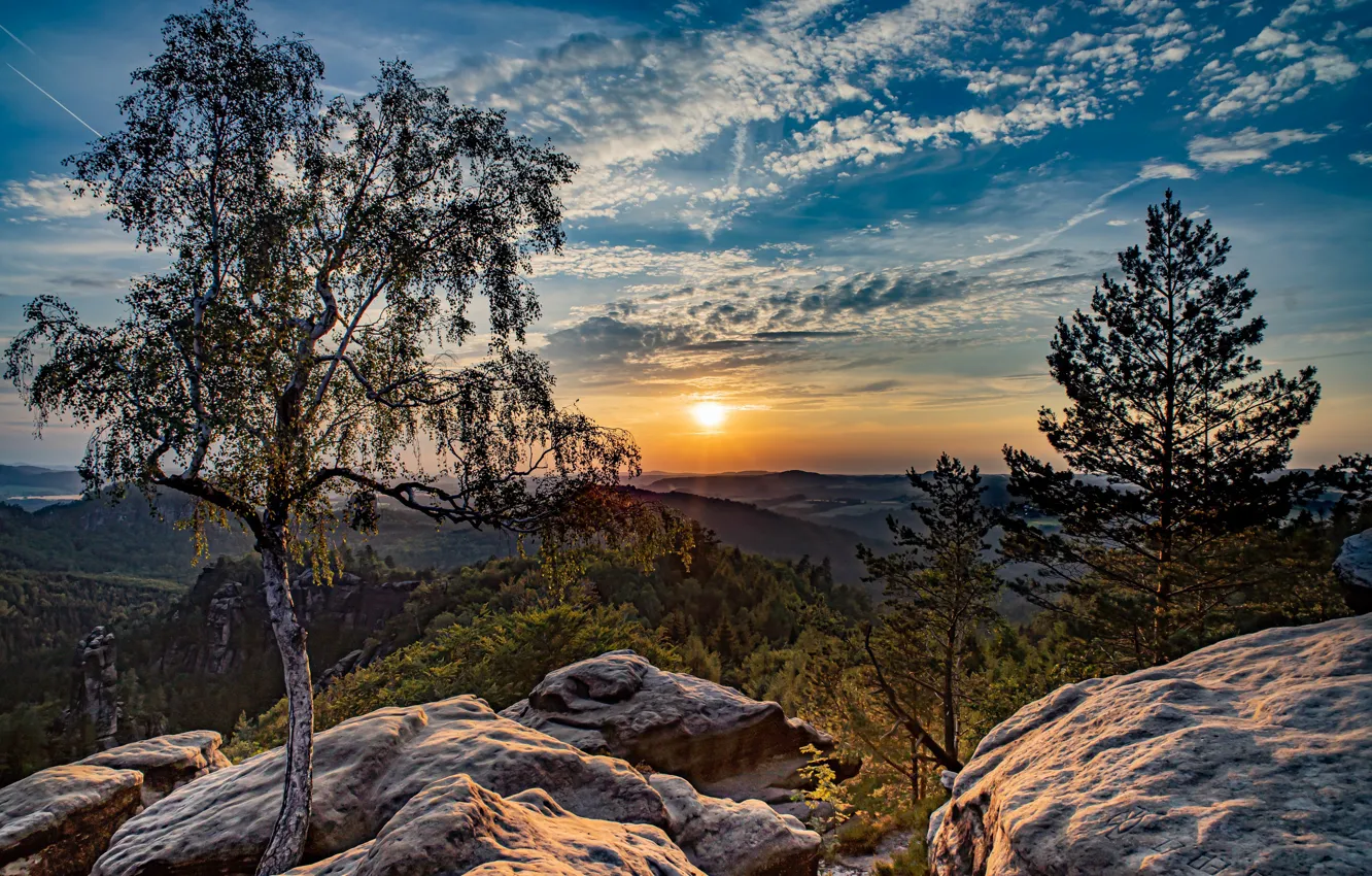 Photo wallpaper trees, sunset, mountains