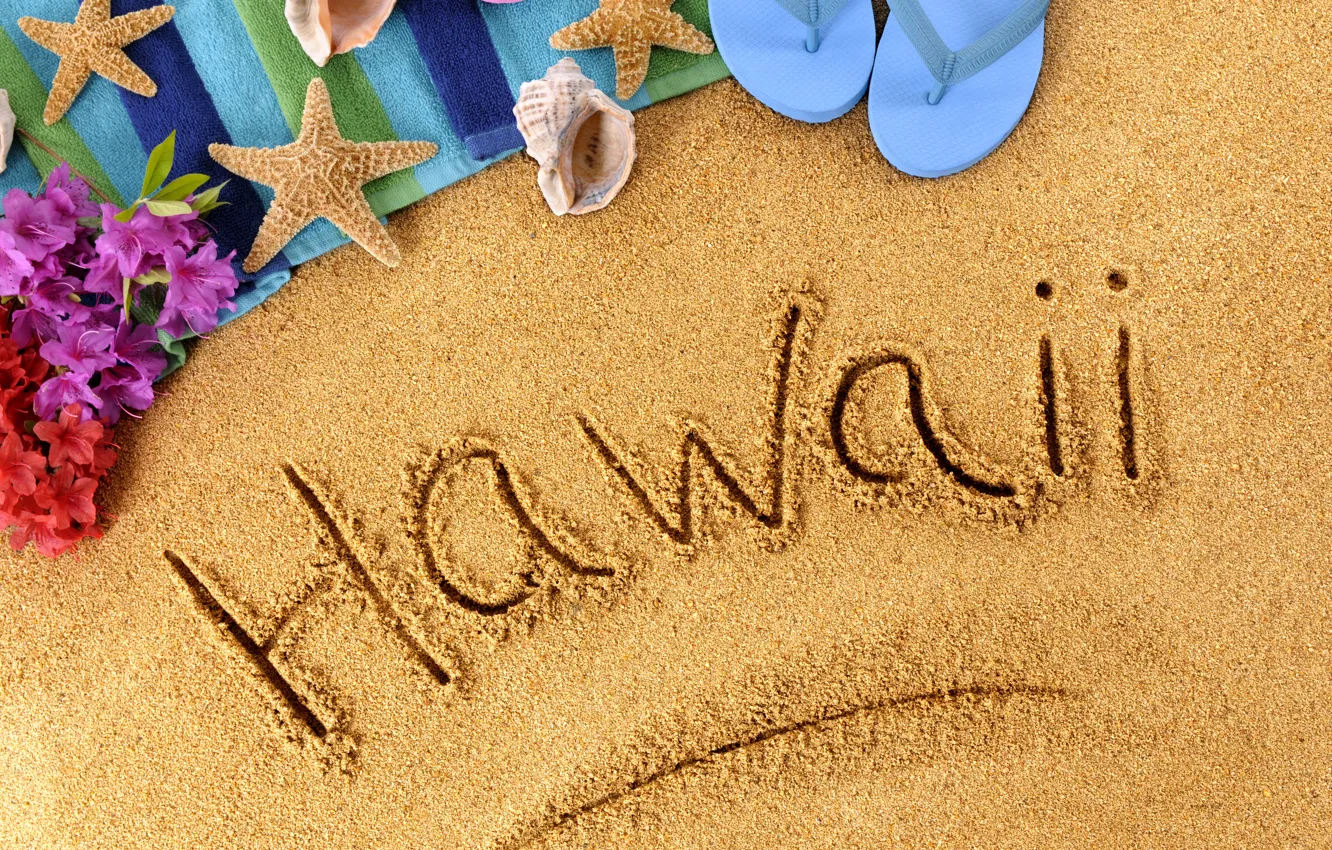 Photo wallpaper beach, summer, nature, stay, vacation, summer, beach, nature