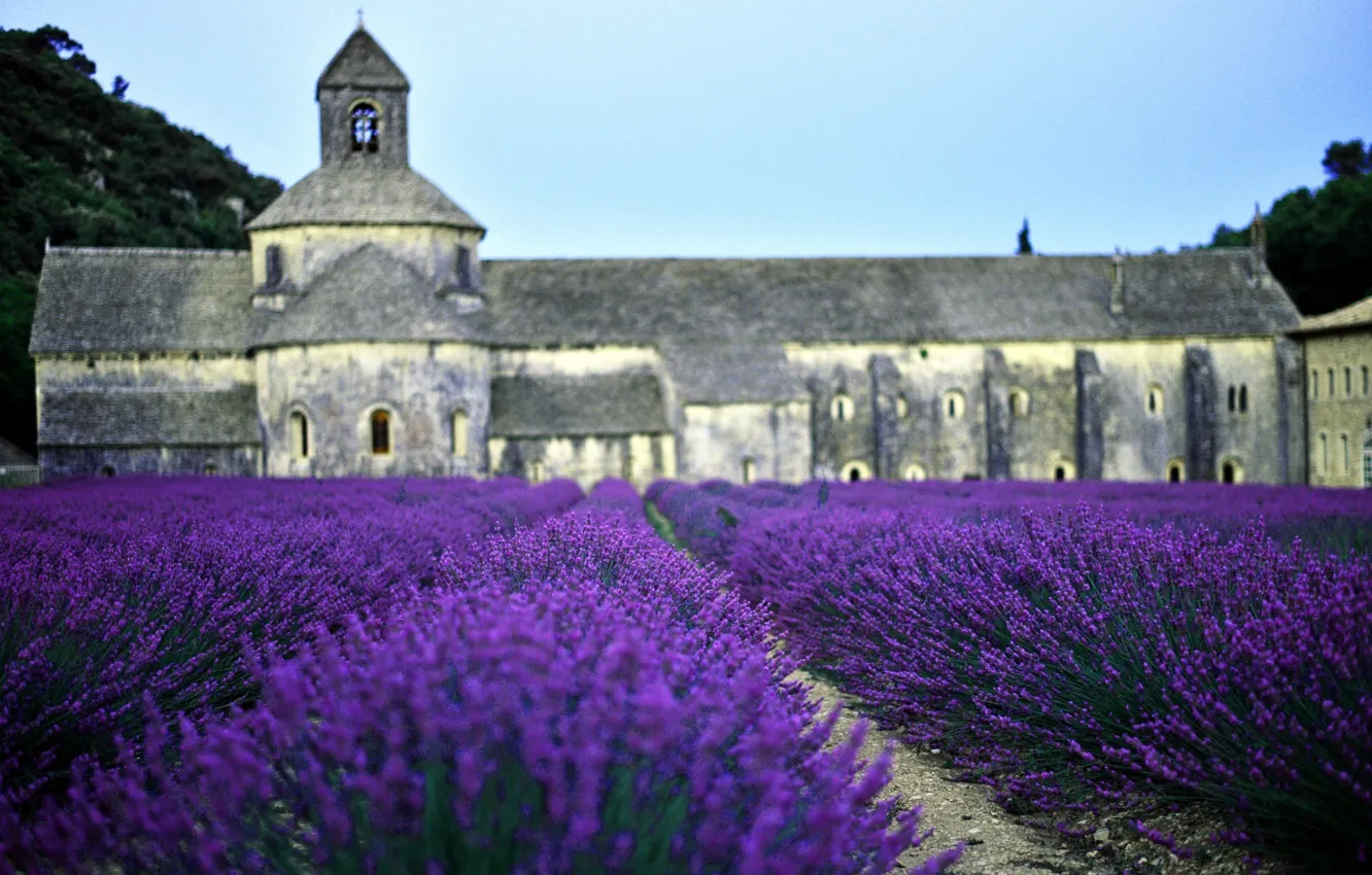 Photo wallpaper field, France, Church, lavender