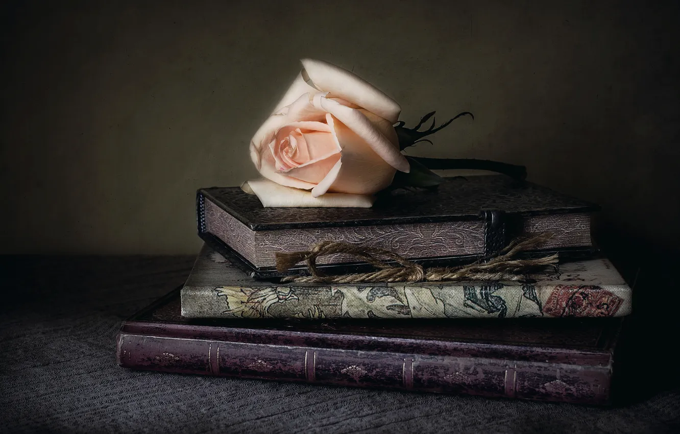 Photo wallpaper style, rose, books, Bud