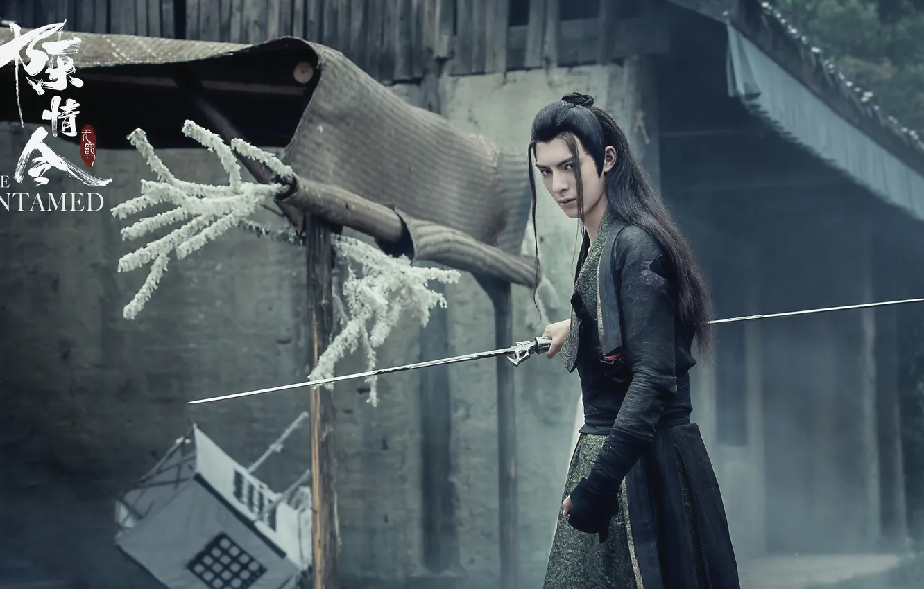 Photo wallpaper sword, guy, Antagonists, The Untamed, The Indomitable Lord of Chenqing, Wang Hao Xuan, Xue Yang, …