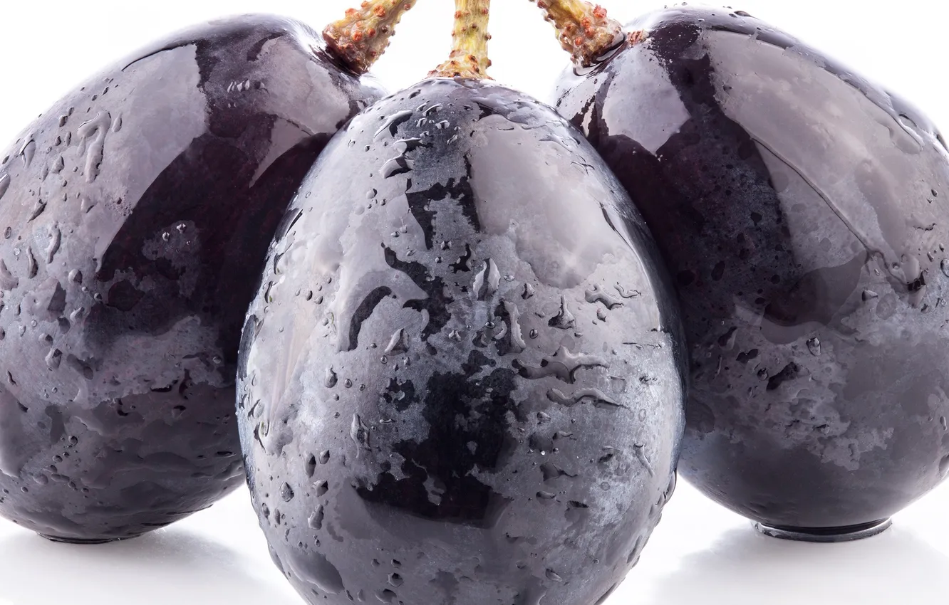 Photo wallpaper macro, blue, berries, black, berry, grapes, black, blue