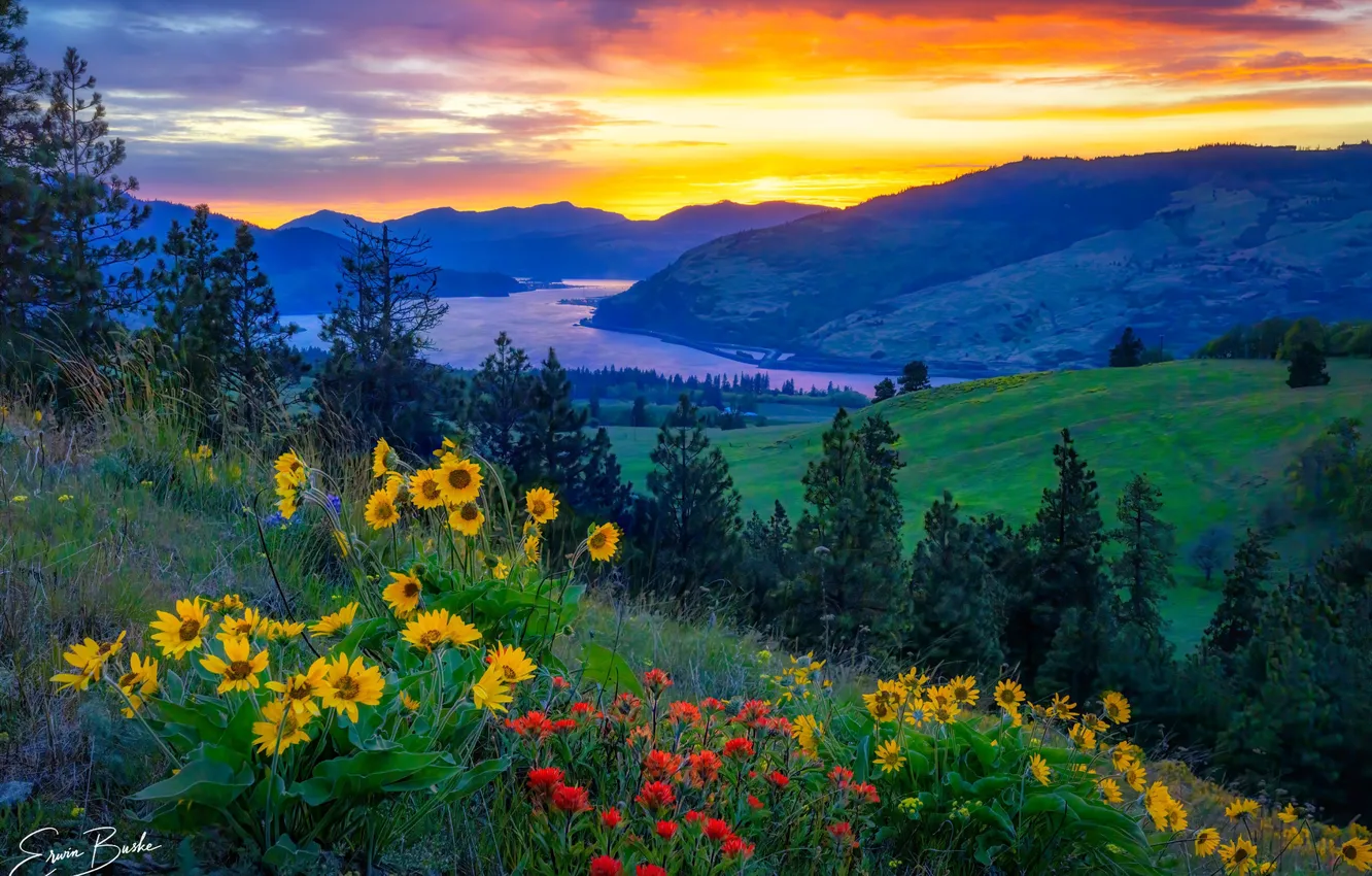 Photo wallpaper trees, sunset, flowers, mountains, river, Columbia, meadows, Erwin Buske