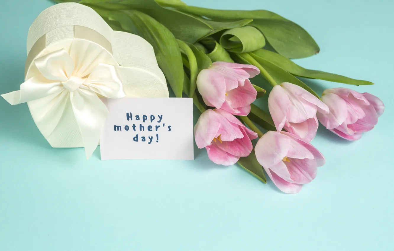 Photo wallpaper gift, bouquet, tape, tulips, Mother's day, Dmytro Sheremeta