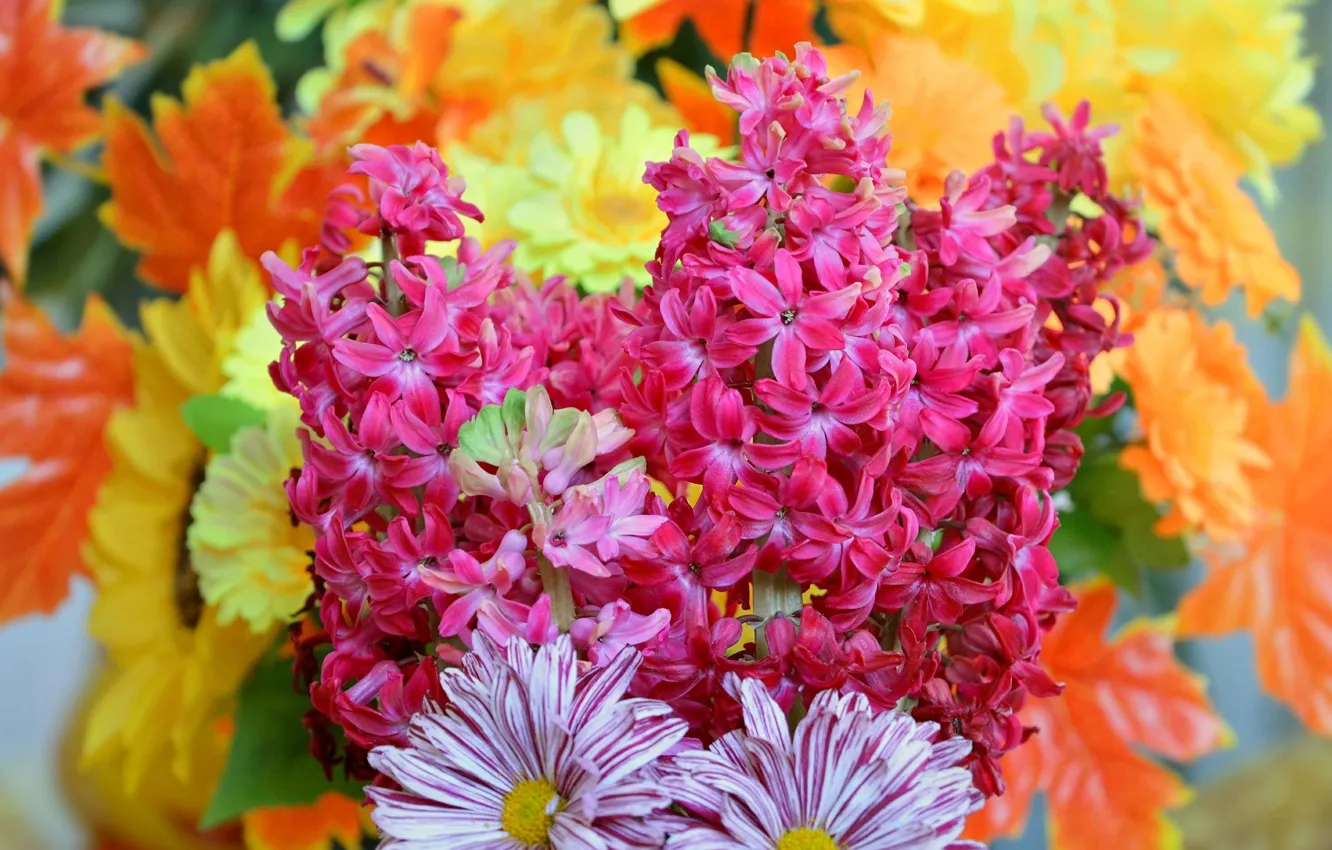 Photo wallpaper flowers, flowers, flowers, spring