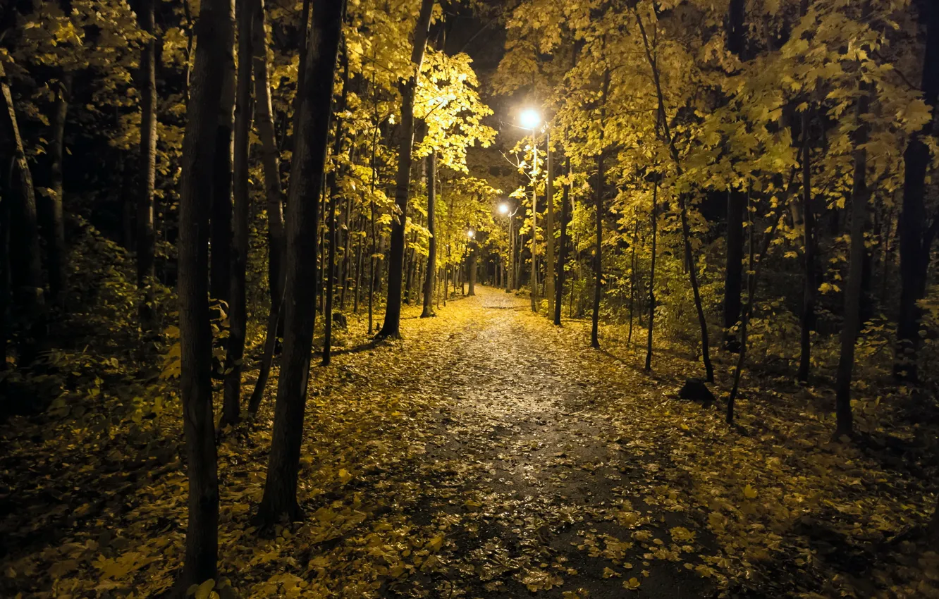 Photo wallpaper autumn, night, the city, Park