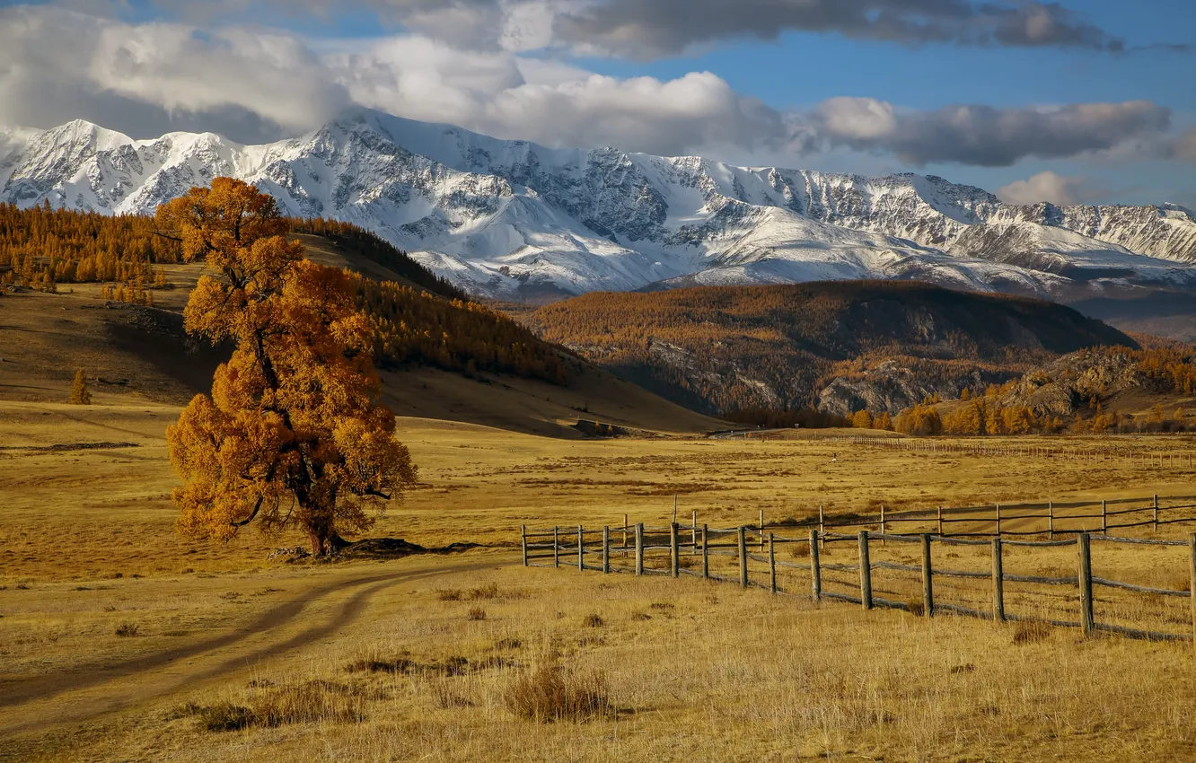 Photo wallpaper autumn, clouds, trees, mountains, valley, beautiful landscape, Murzinov Victor