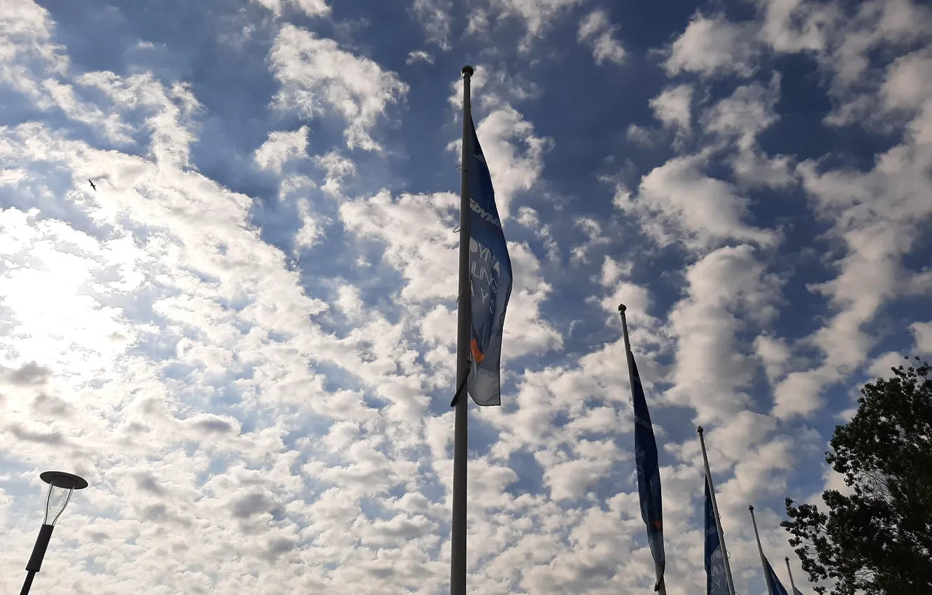 Photo wallpaper niebo, clouds, masts, flags
