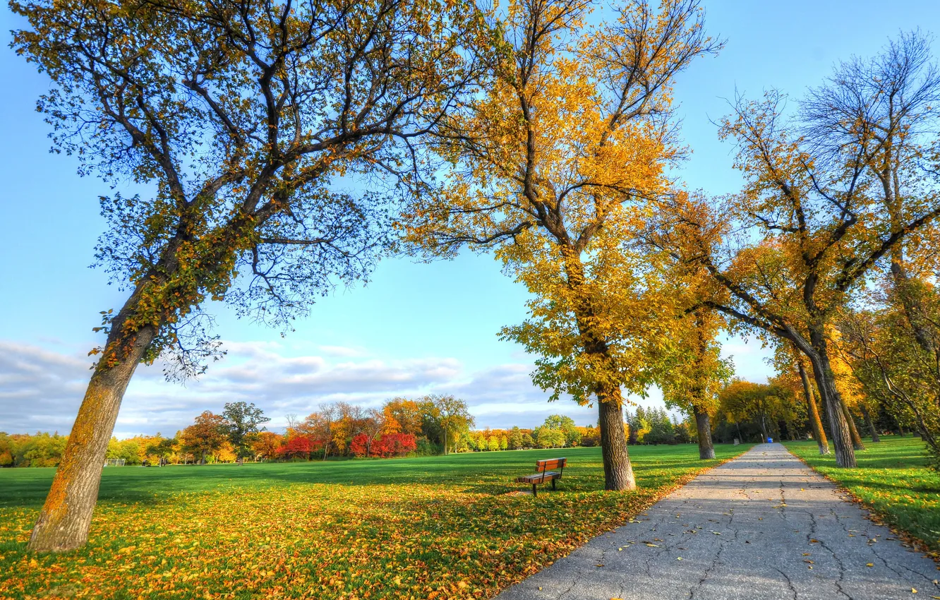 Photo wallpaper road, autumn, grass, leaves, trees, Park, bench