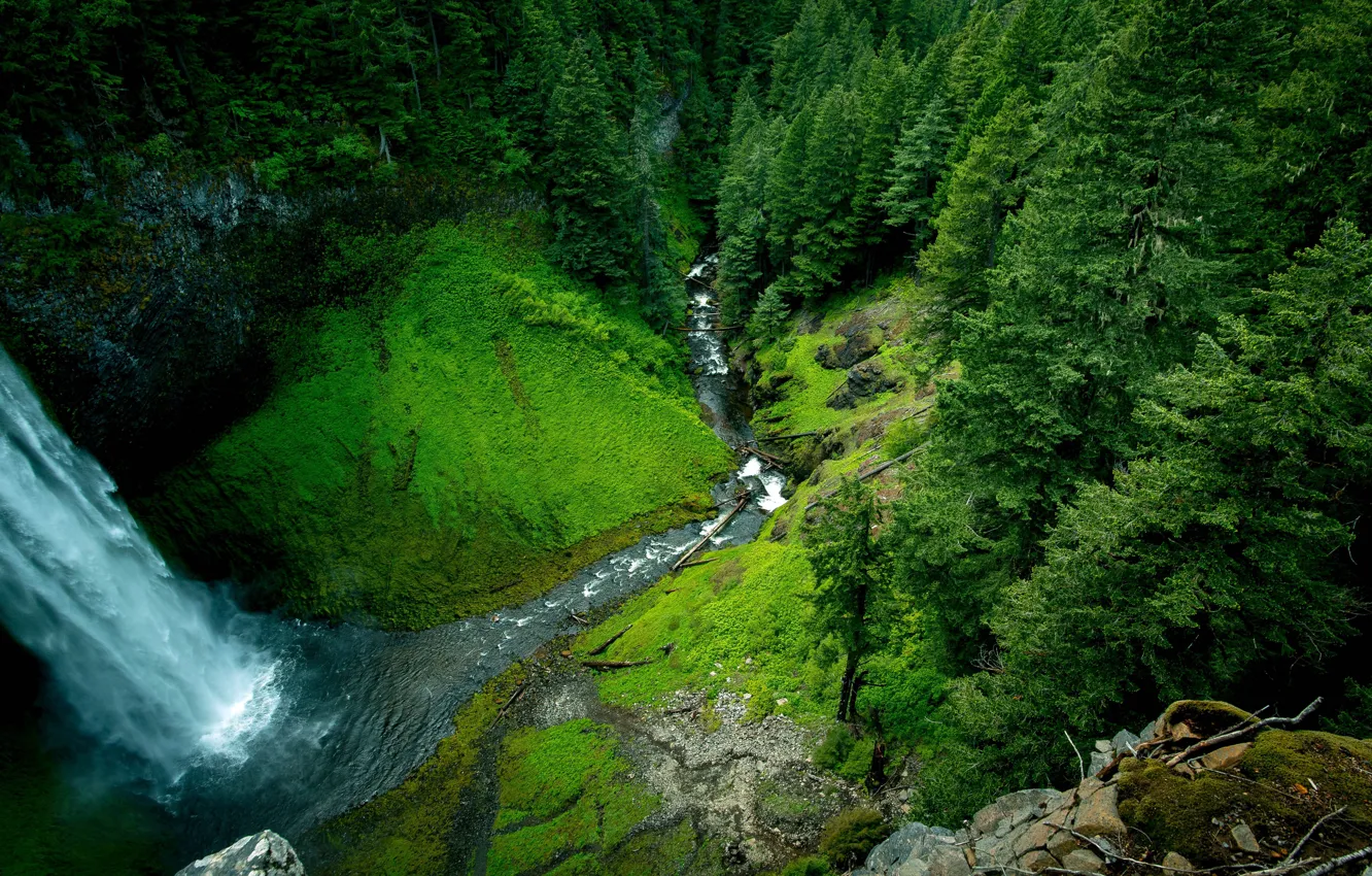 Photo wallpaper trees, waterfall, river, the view from the top, the beauty of nature, water flows