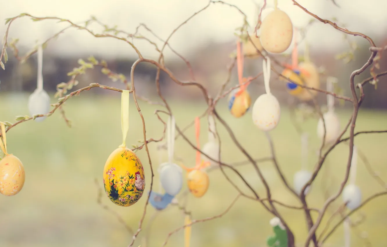 Photo wallpaper branches, holiday, eggs