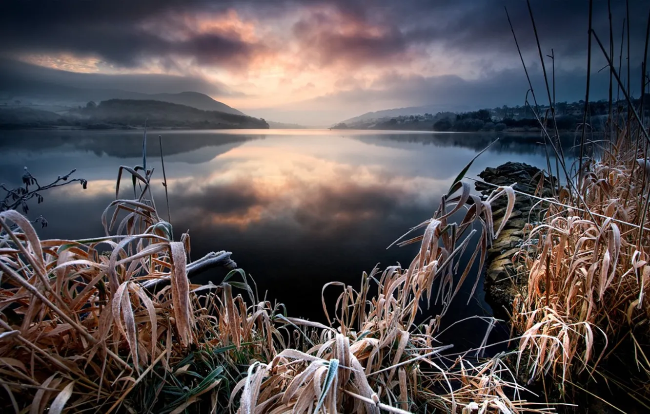 Photo wallpaper grass, lake, frost