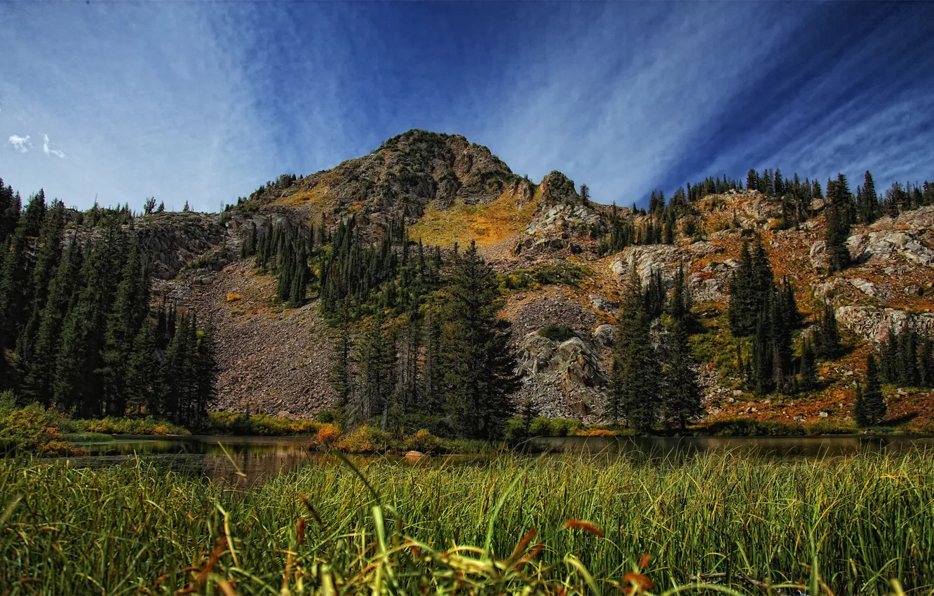 Photo wallpaper forest, grass, mountains, lake, the grass around lake martha