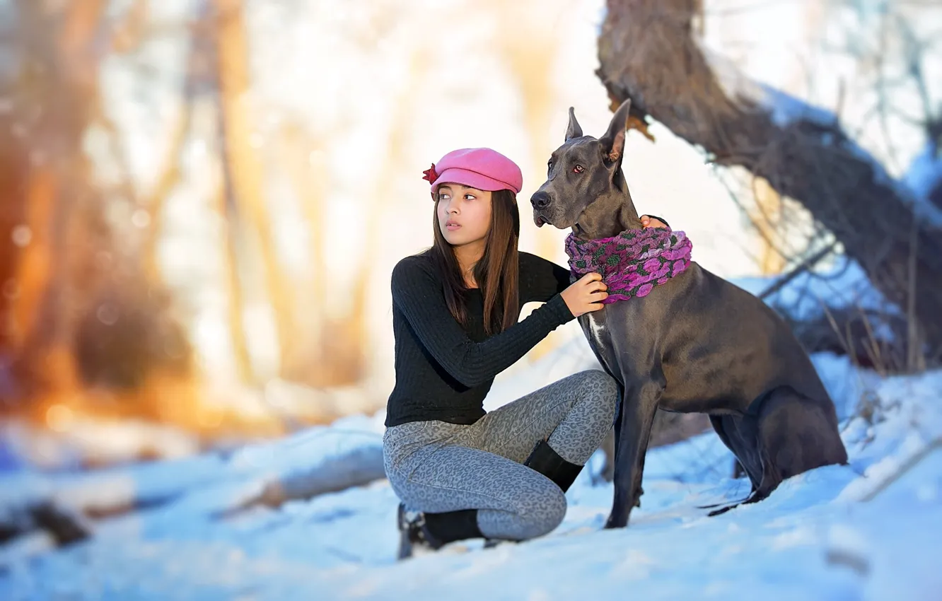 Photo wallpaper girl, nature, dog