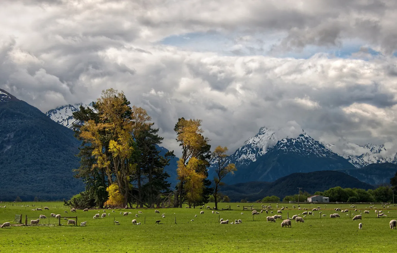 Photo wallpaper field, the sky, clouds, mountains, photo