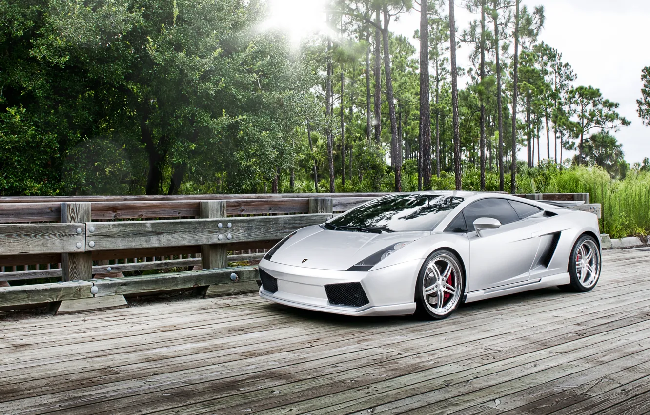 Photo wallpaper forest, tuning, lamborghini gallardo