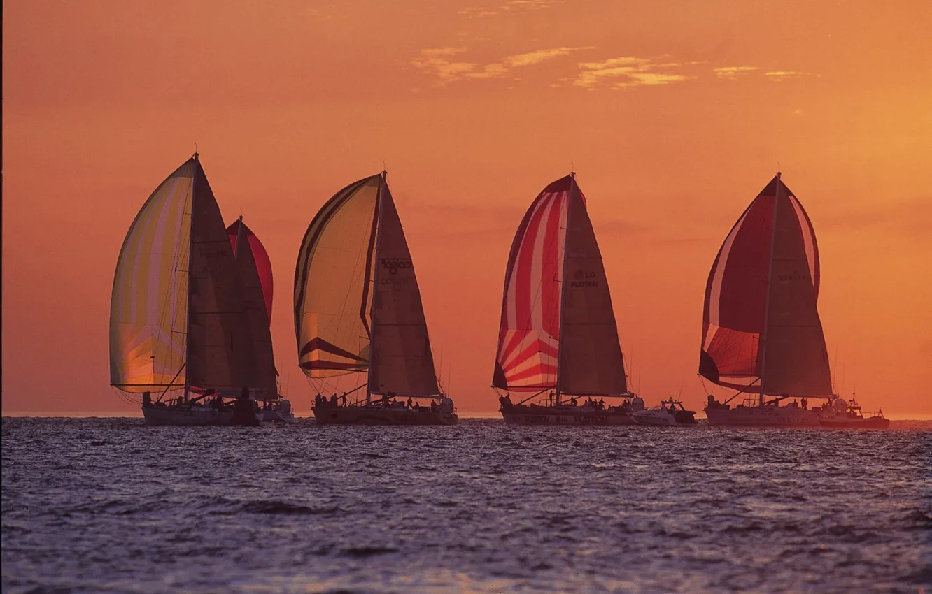 Photo wallpaper sea, the wind, race, sport, sails, control, regatta, racing yachts