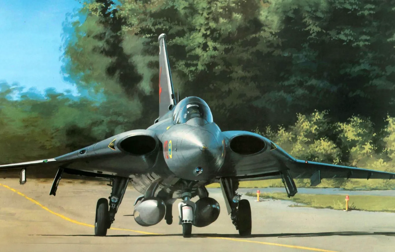 Photo wallpaper figure, fighter, art, Draken, the Sweden, You CAN