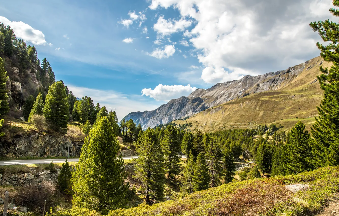 Photo wallpaper road, greens, forest, the sky, the sun, clouds, trees, mountains