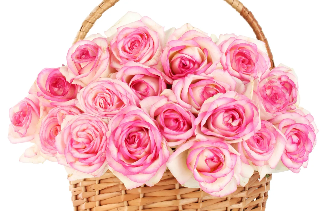 Photo wallpaper flowers, roses, pink