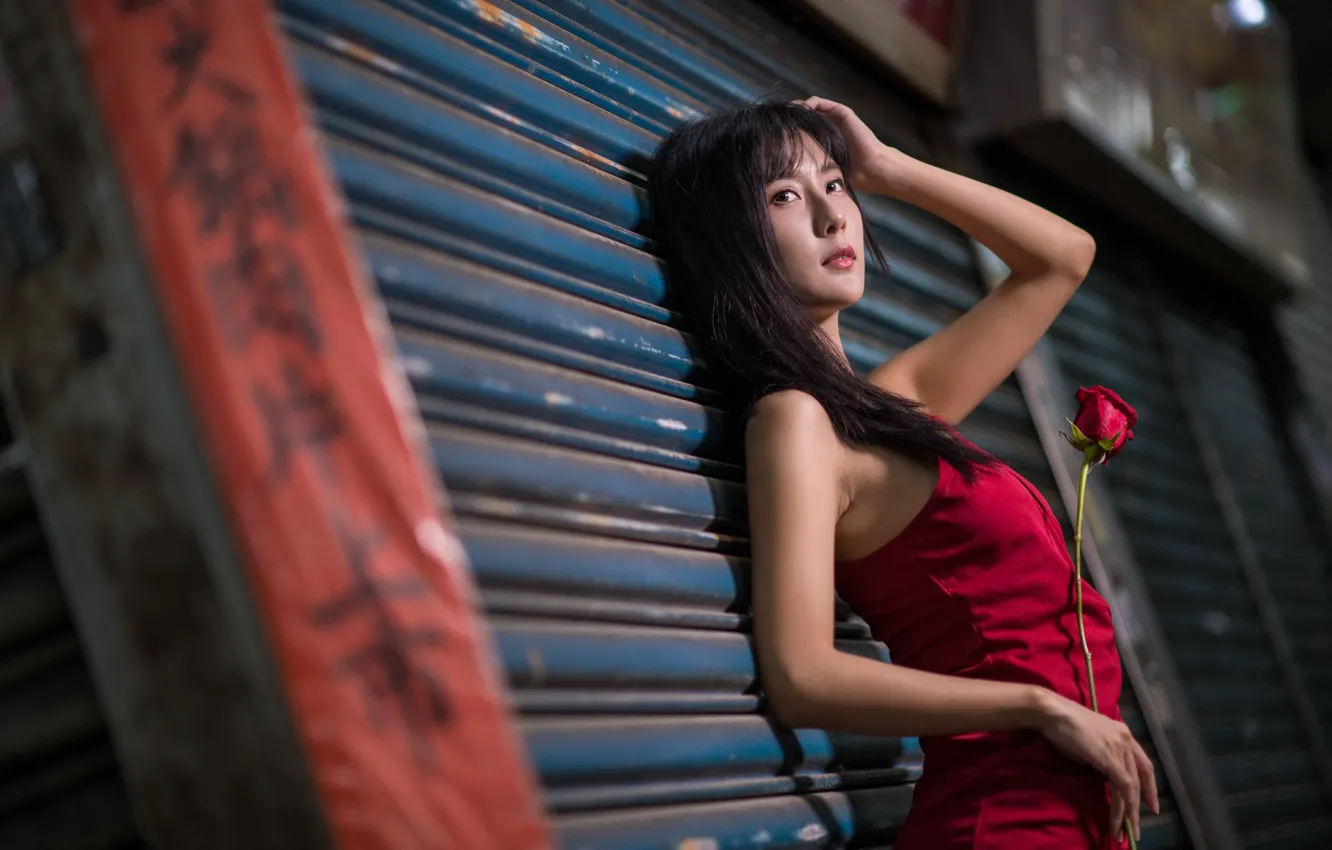 Photo wallpaper girl, roses, Asian