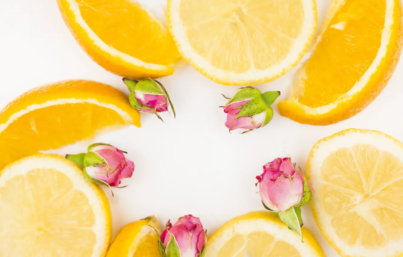 Photo wallpaper orange, roses, citrus, buds, orange wedges