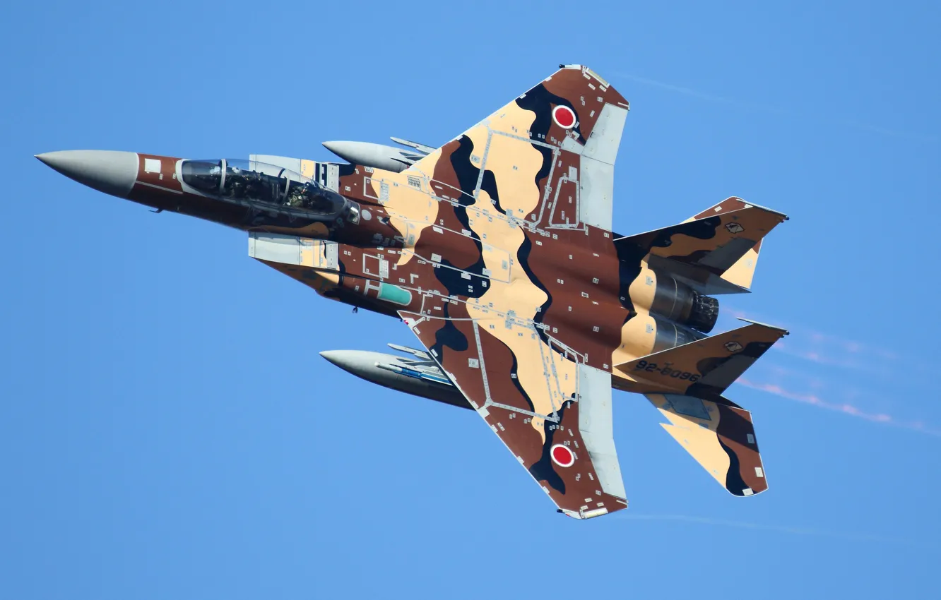 Photo wallpaper fighter, Mitsubishi, F-15DJ