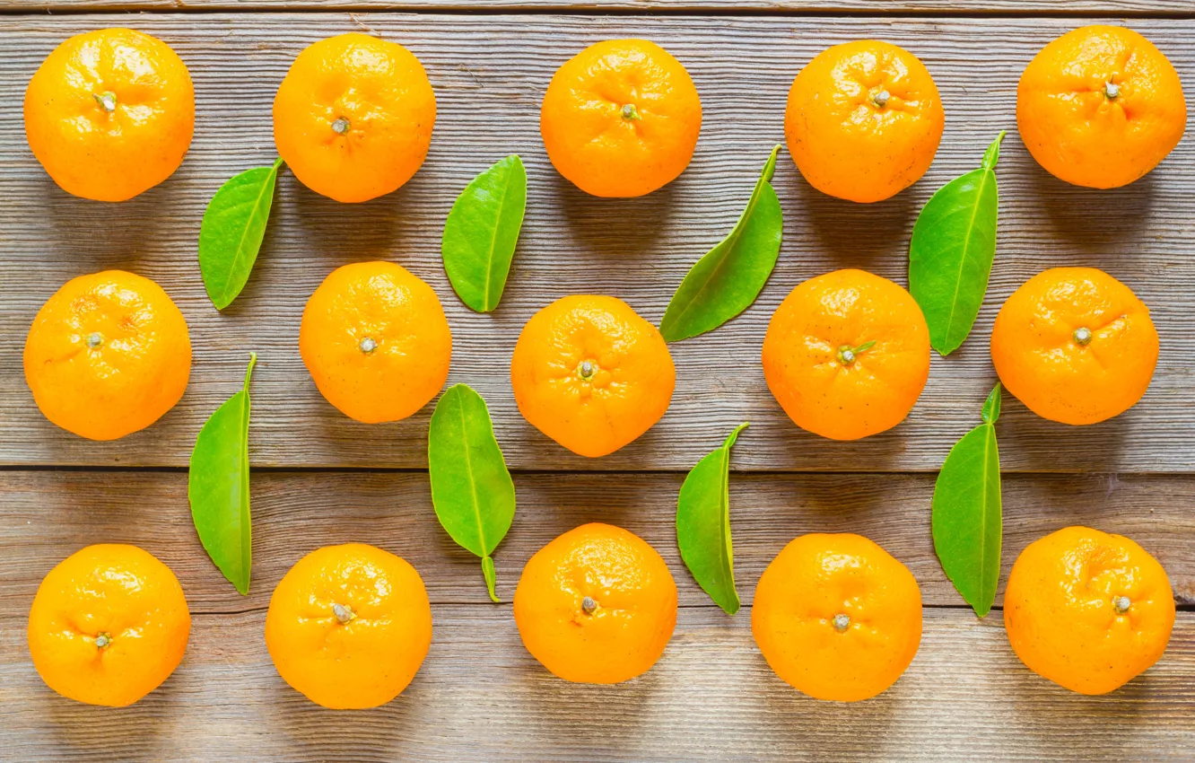 Photo wallpaper leaves, pattern, Board, citrus, a number, fruit, a lot, composition