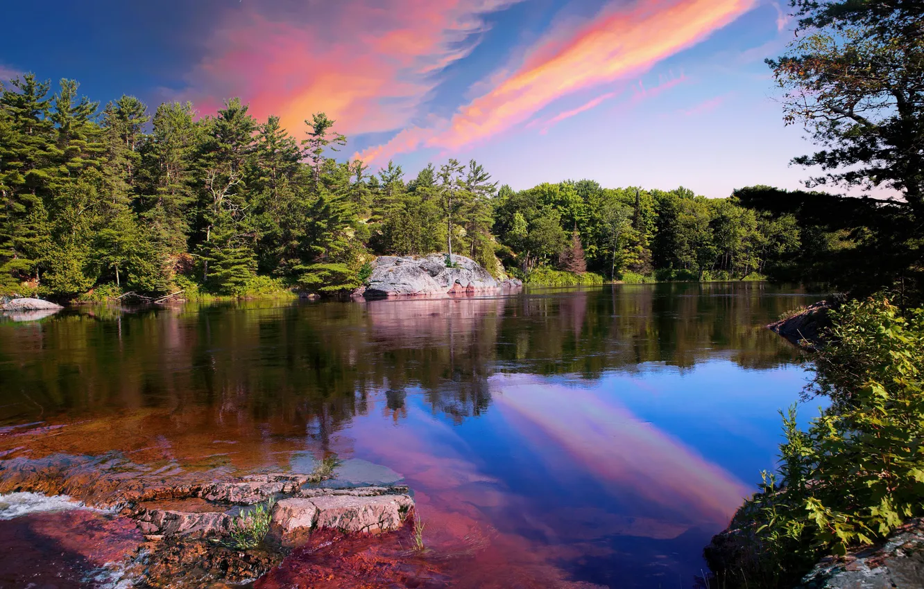 Photo wallpaper forest, the sky, trees, sunset, lake
