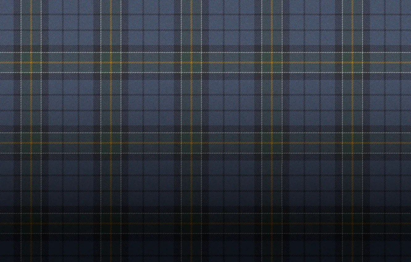 Photo wallpaper mesh, texture, cell