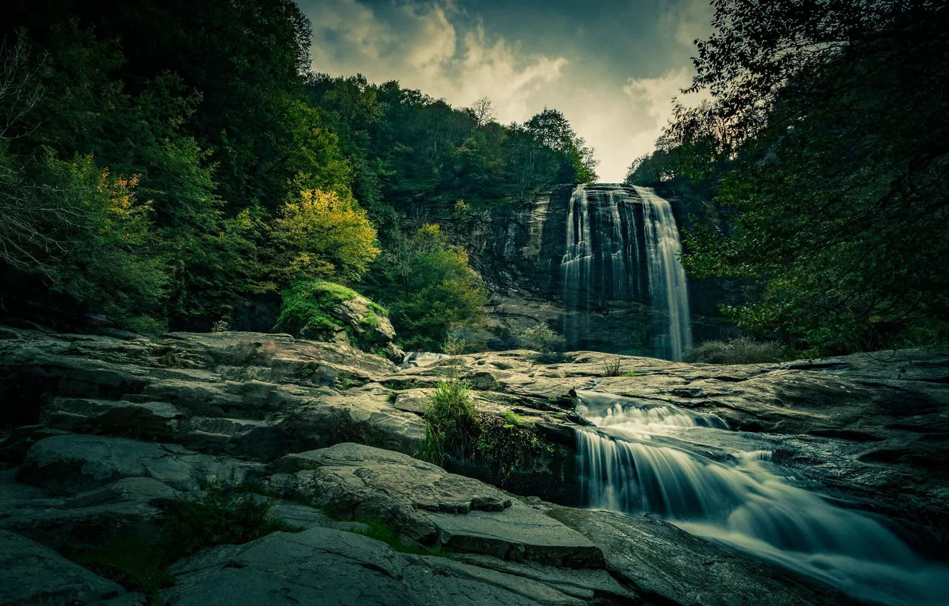 Photo wallpaper forest, waterfall, stream