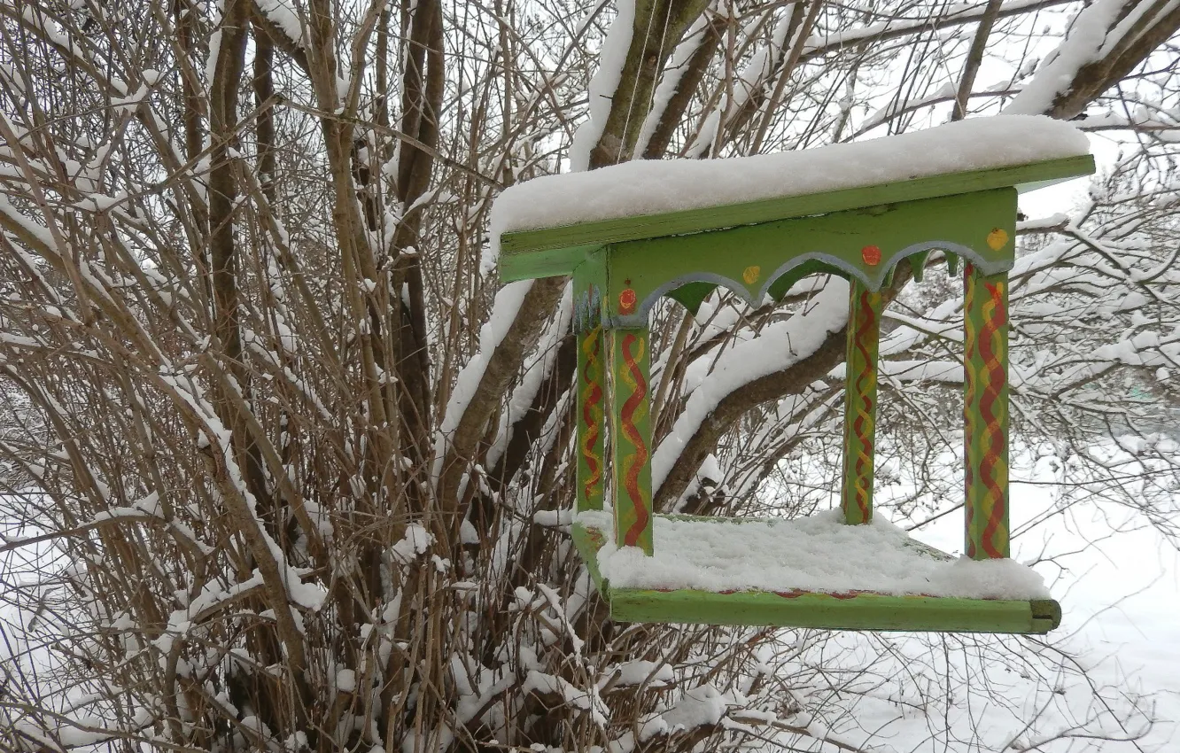 Photo wallpaper winter, snow, background, widescreen, Wallpaper, wallpaper, the bushes, widescreen