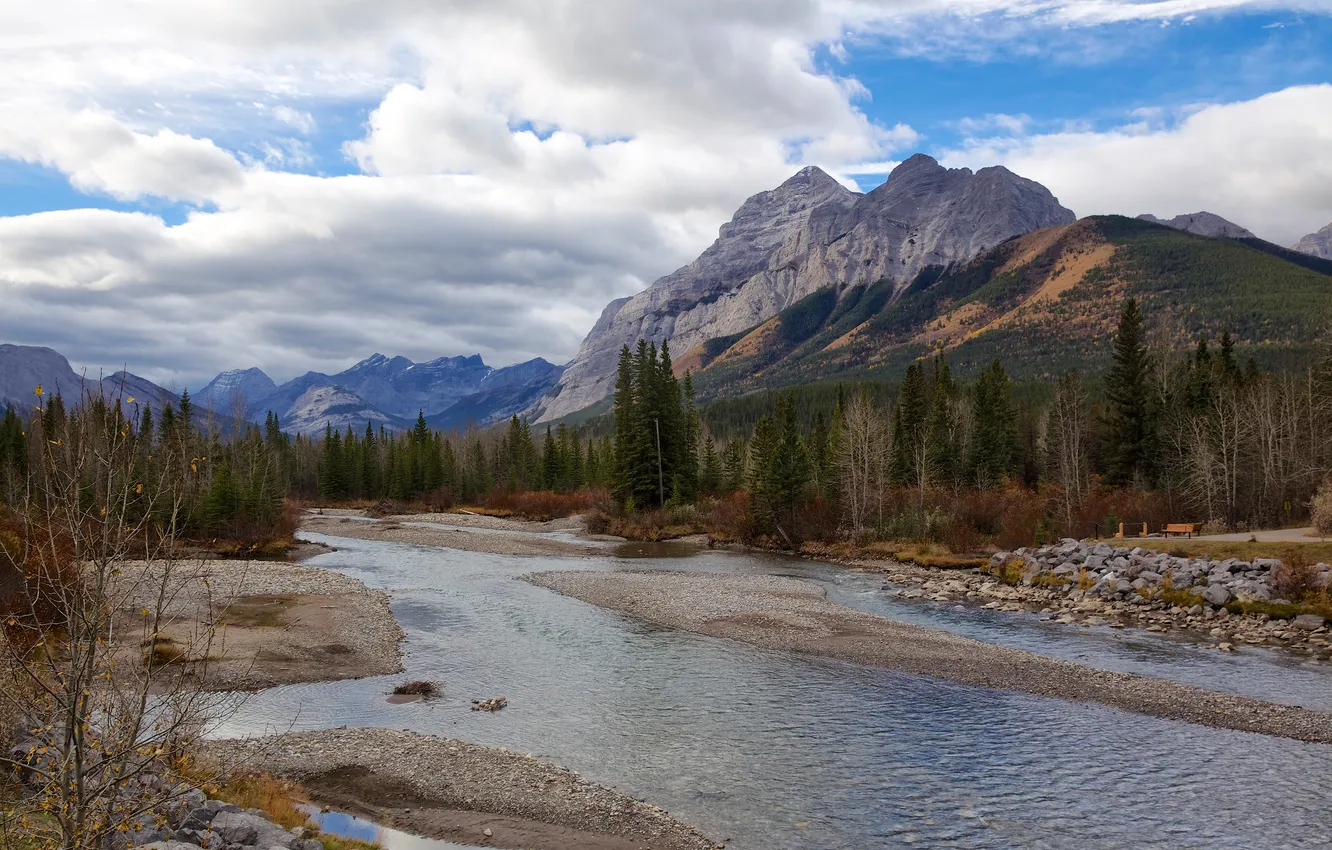 Photo wallpaper forest, trees, mountains, river, Canada, Albert, Castle Mountain, Castle hill