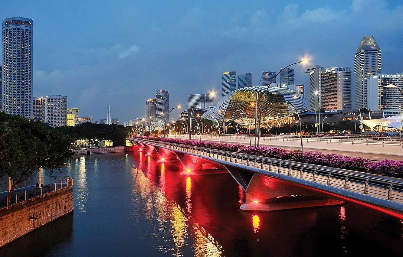 Photo wallpaper bridge, the city, lights, building