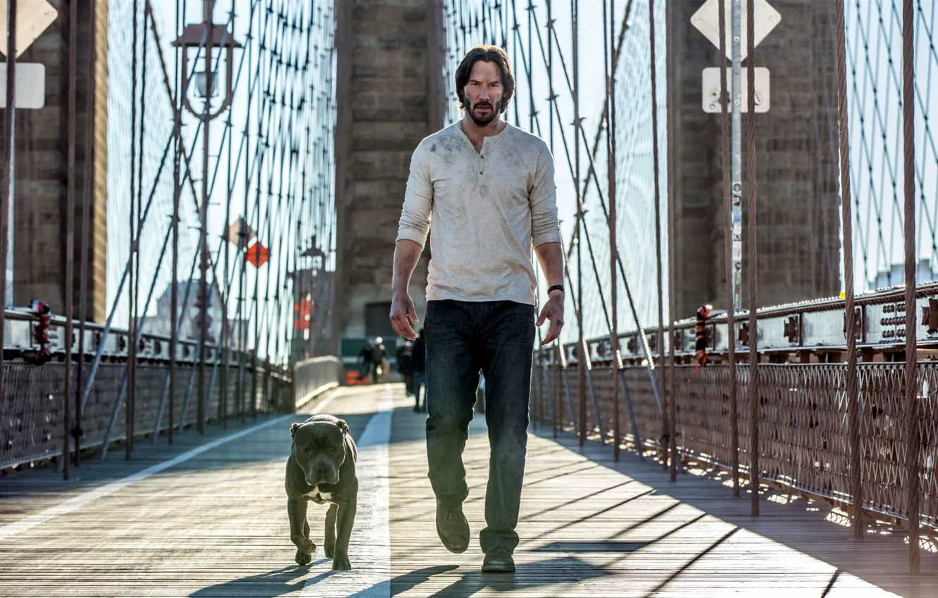 Photo wallpaper bridge, dog, John Wick, John Wick: Chapter Two