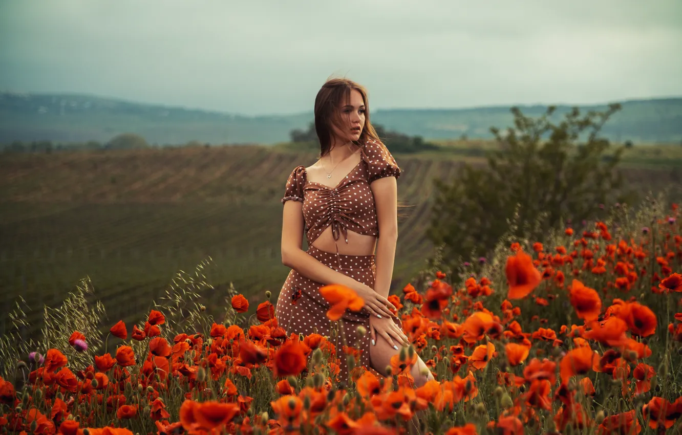 Photo wallpaper field, girl, flowers, pose, Maki, long hair, Kirill Korovin