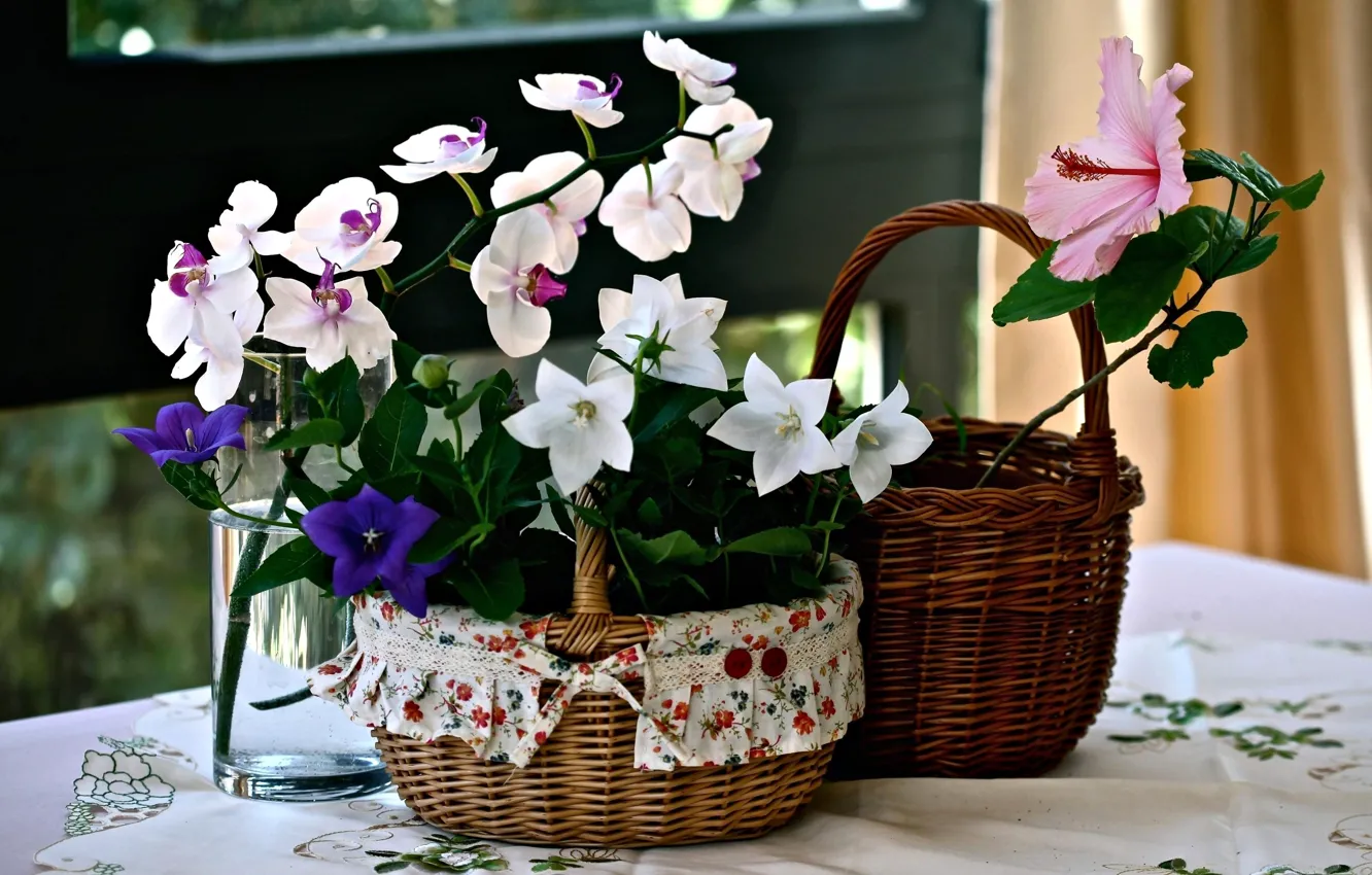 Photo wallpaper flowers, bells, basket, Orchid, hibiscus
