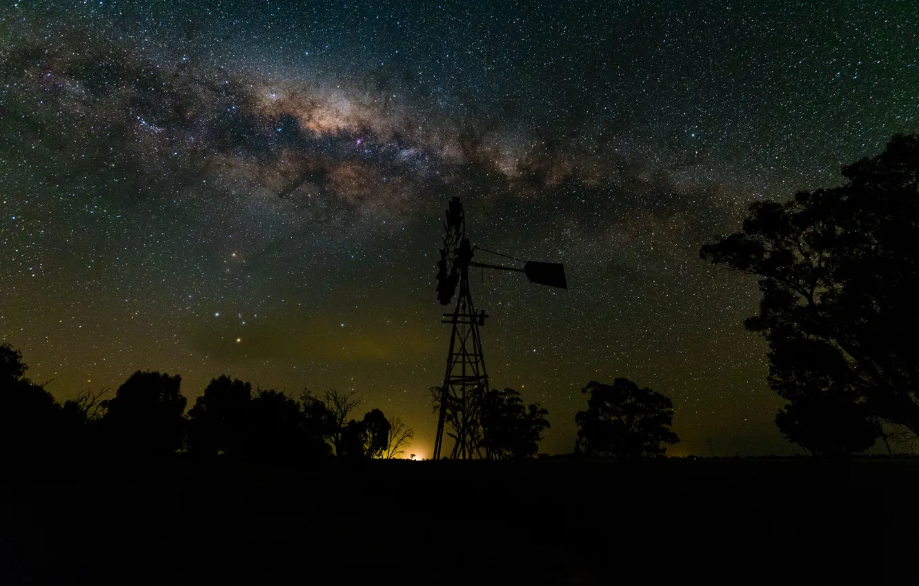Photo wallpaper space, stars, trees, shadows, the milky way