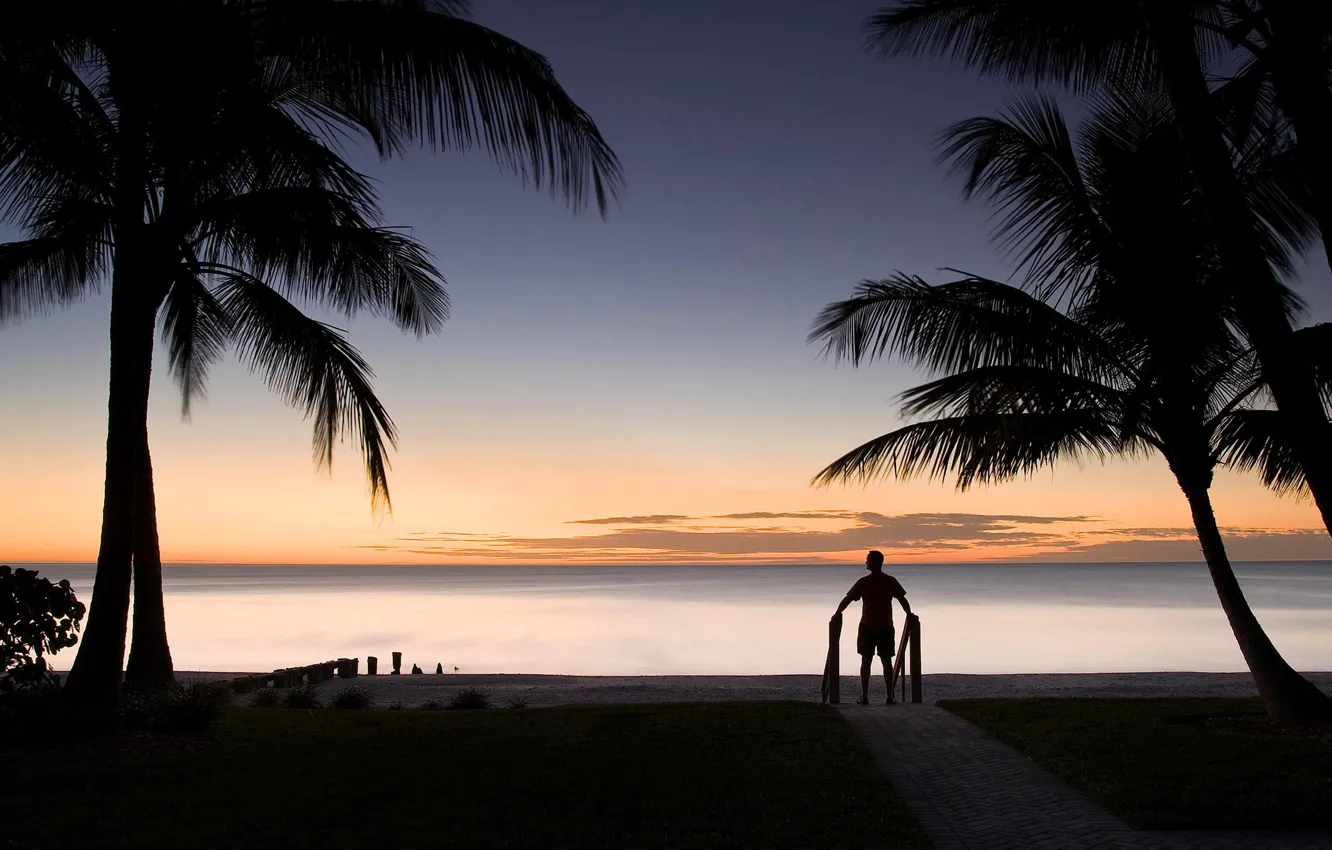 Photo wallpaper landscape, palm trees, people, horizon, silhouette